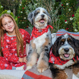 Organic Cotton Holiday Matching Family Pajamas, Fair Isle Red