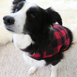 Holiday Matching Family Pajamas Holiday Tartan Pet Gift Set, Holiday Tartan